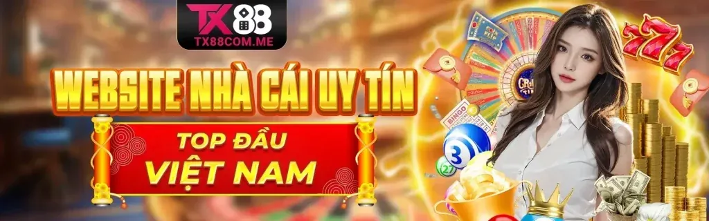 Hình ảnh đại diện cho Điều Khoản Dịch Vụ của SC881